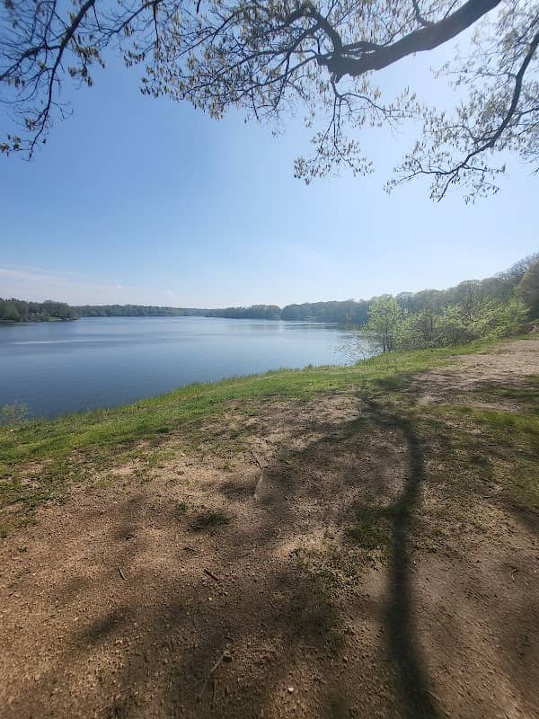 Grove Park - Image 2