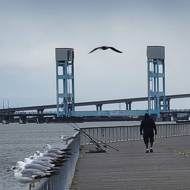 Independence Park - Image 1
