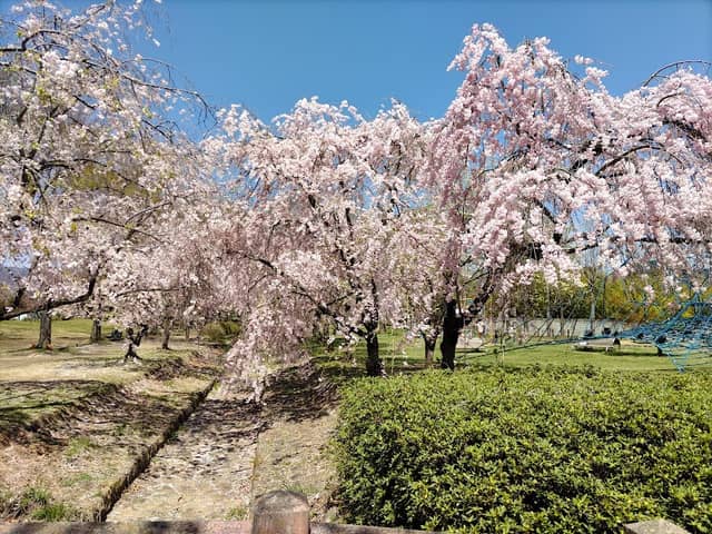 Koshoku Central Park - Image 1