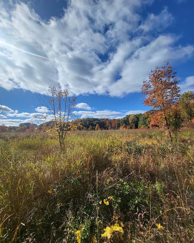 Hudsonville Nature Center - Image 1
