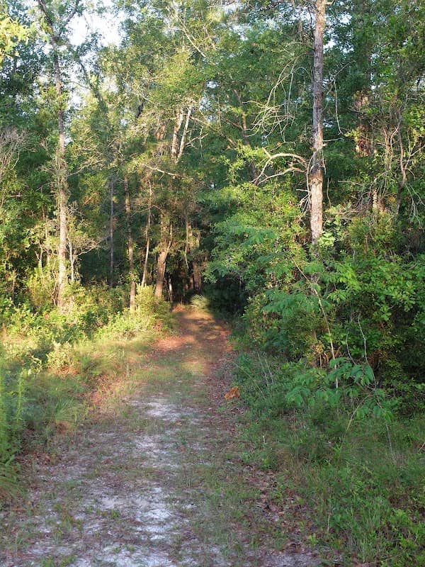 Fire and Water Recreation Area - Image 1