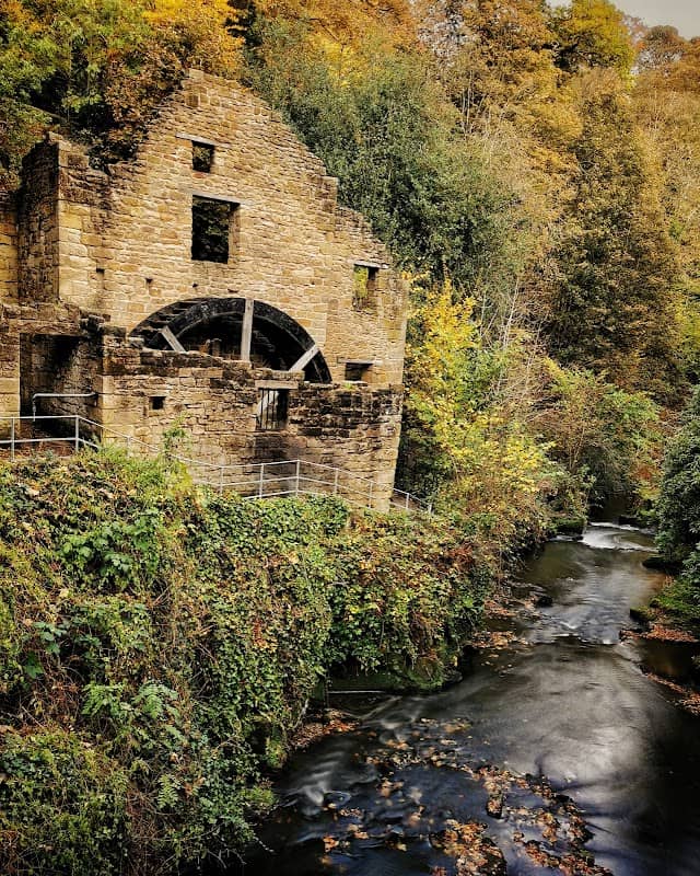 Jesmond Dene Falls - Image 1