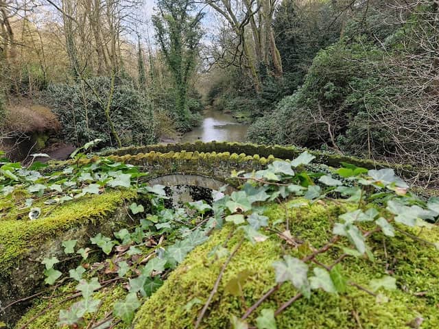 Jesmond Dene Falls - Image 2