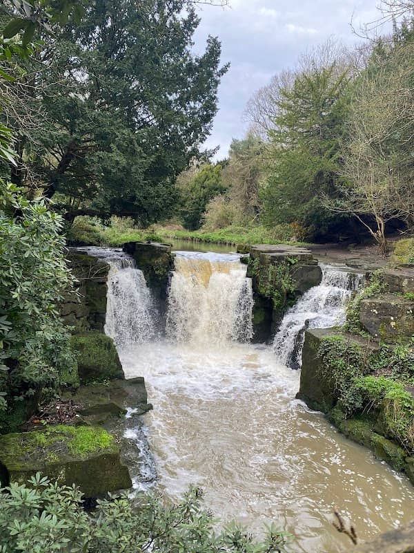 Jesmond Dene Falls - Image 3