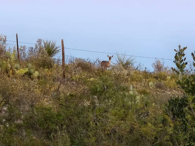 Picnic Area - Image 2