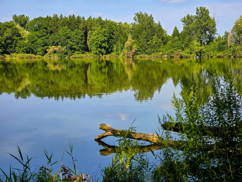 Shakespeare Conservation Area - Image 1