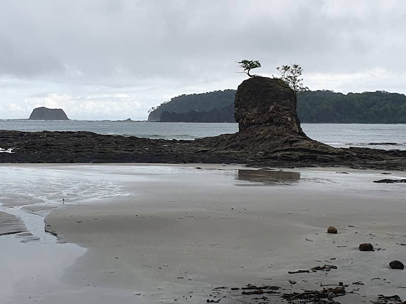 Carrillo Beach - Image 1