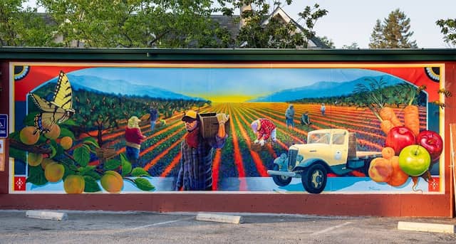 Mural: Grateful Harvest - Image 1