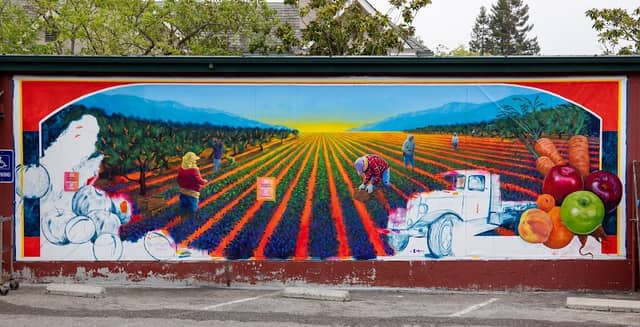 Mural: Grateful Harvest - Image 2