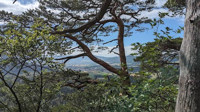 Overlook Thiergarth - Image 1