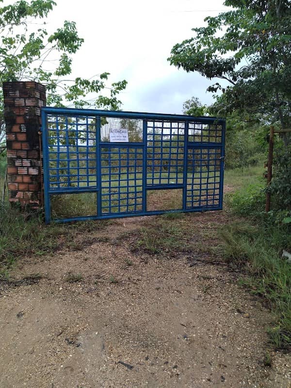 Sítio Terra da Mata - Image 1