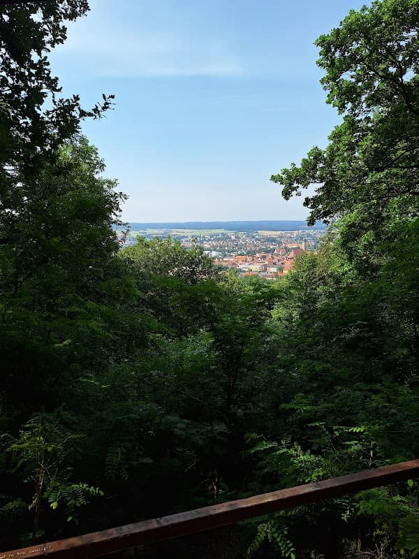 Amberger Schwammerl - Image 1