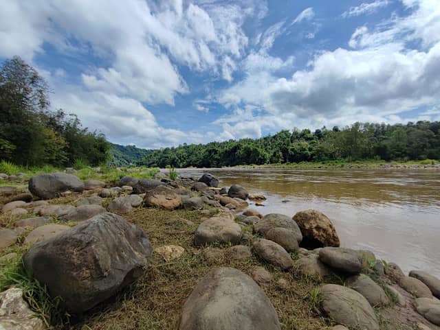 Cabula Bridge River Side View - Image 1