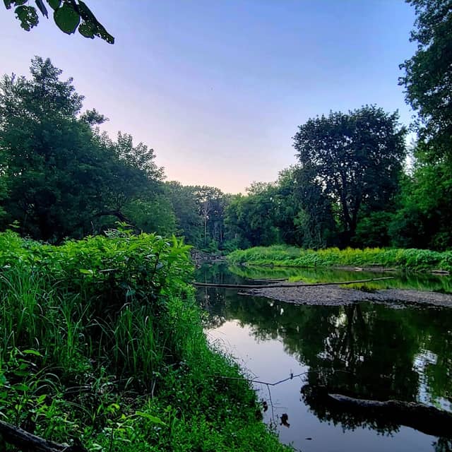 Alplaus Preserve - Image 2