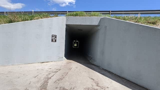 New Market Walking Tunnel - Image 2