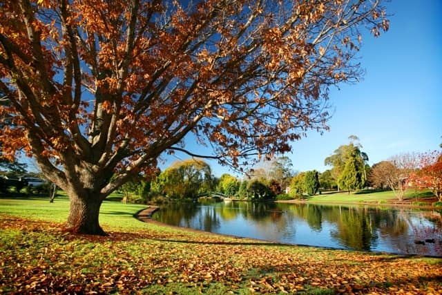 Lake Annand Park - Image 2