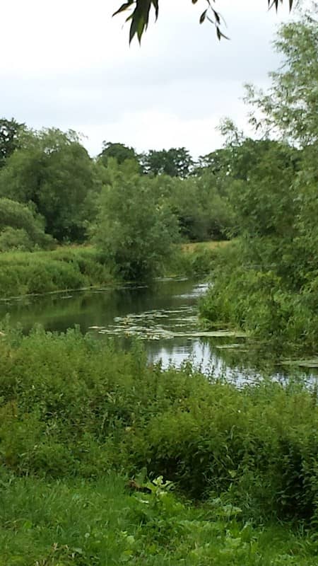 South Witham Marsh - Image 1