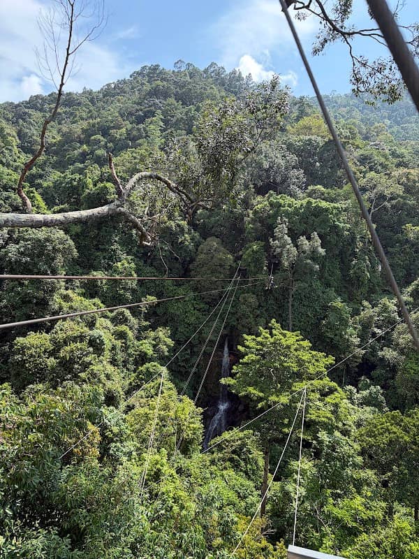 Treetop Tour Zipline - Image 1