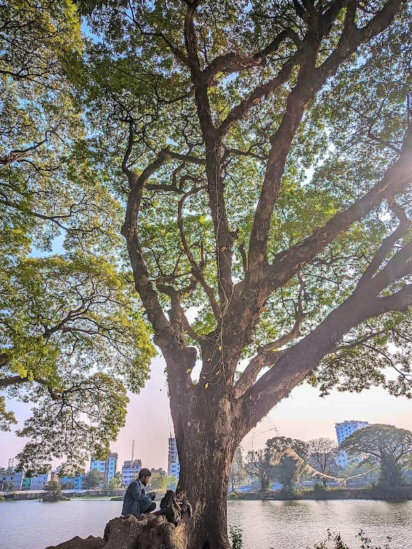 Debarper(ডেবারপার) - Image 3