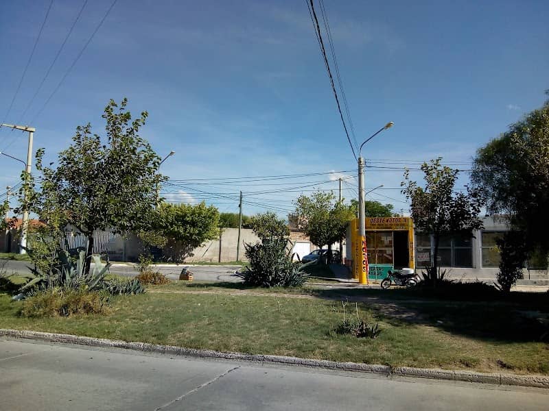 Espacio Verde - Image 2