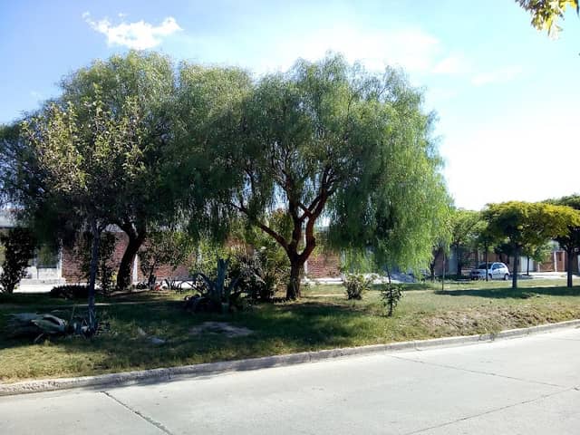 Espacio Verde - Image 1