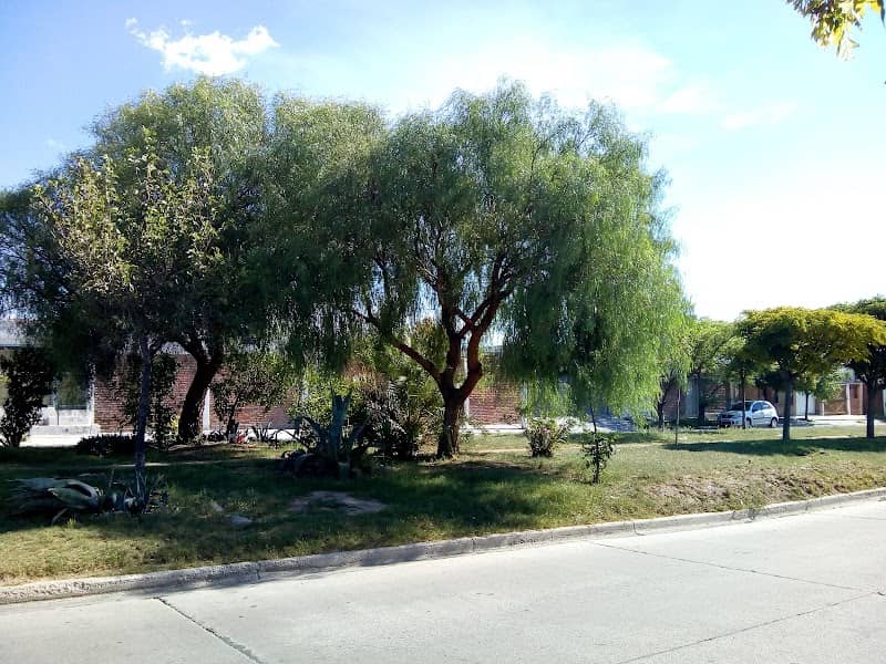 Espacio Verde - Image 1