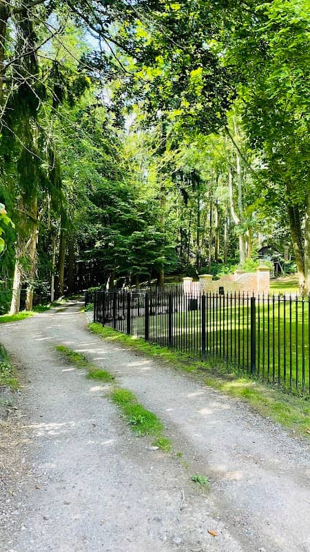 Bluebell Woods - Image 2