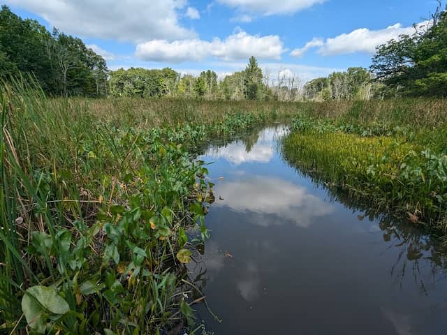 Selkirk Provincial Park - Image 2