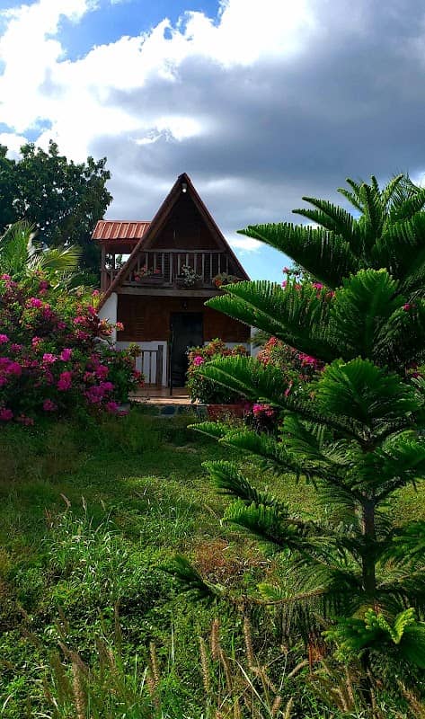 Hacienda Peralta - Image 1