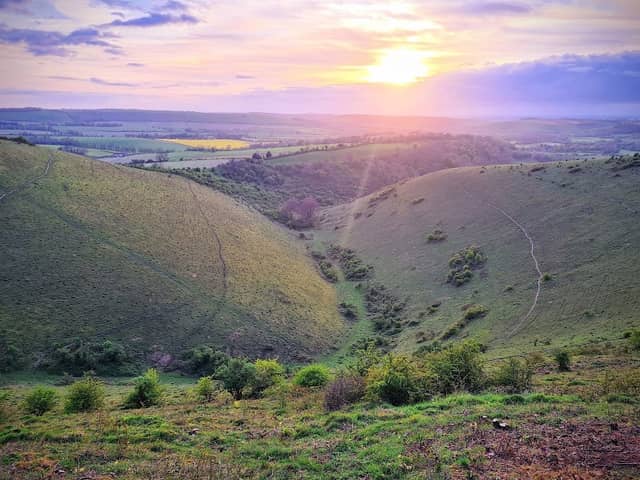 Queen Elizabeth Country Park - Image 2