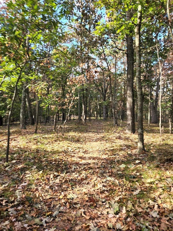 Hudson Highland Park Overlook - Image 1