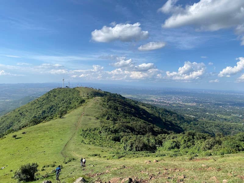 Ngong Hills Forest Reserve - Image 1