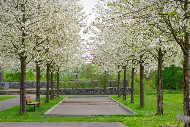 Generationenpark Brakel - Image 1