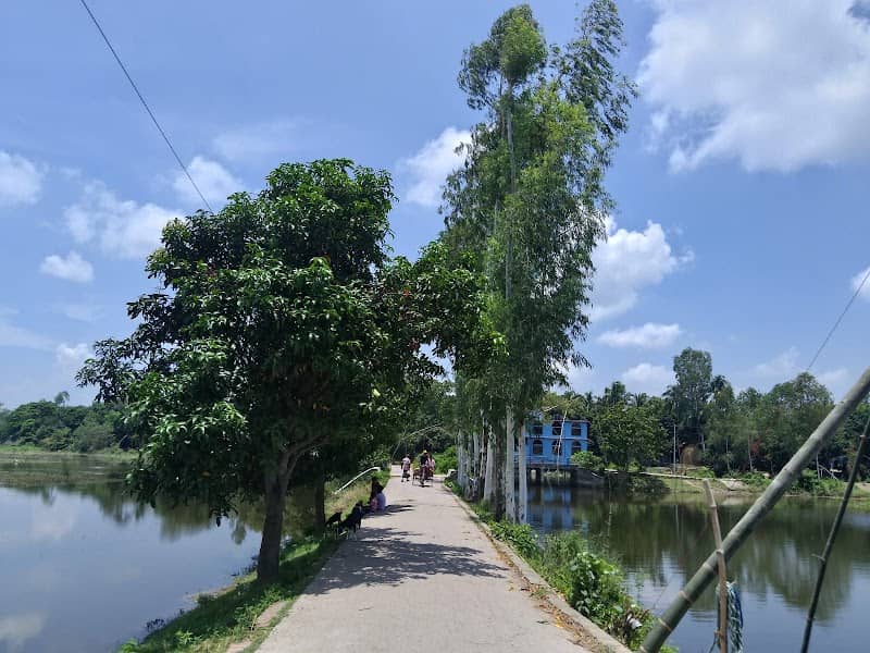 সুবর্ণসাড়া শাহপুর সড়ক - Image 1