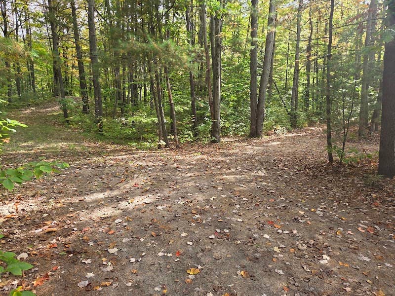 Pickerel Lake State Forest Campground - Image 1