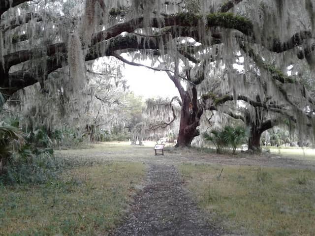 Cannon's Point Preserve - Image 3