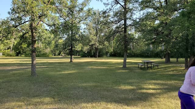 Mitchell park - Image 1