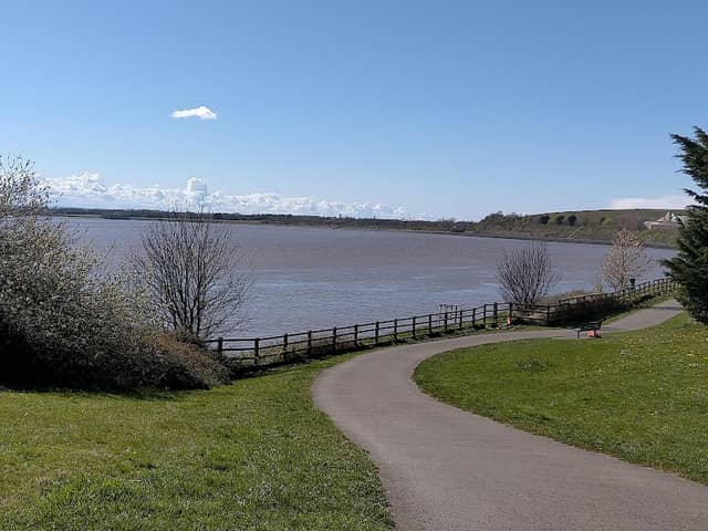 Pickering's Pasture - Image 1