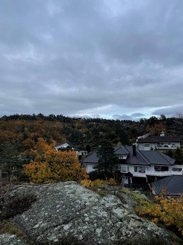 Revås - Image 3