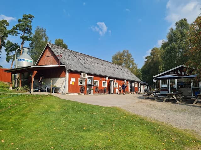 Elinge Elk Park - Image 2