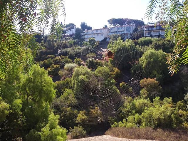 Harter Park - Image 2