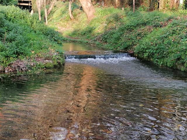 Parco naturalistico fluviale Rio Foce - Image 1