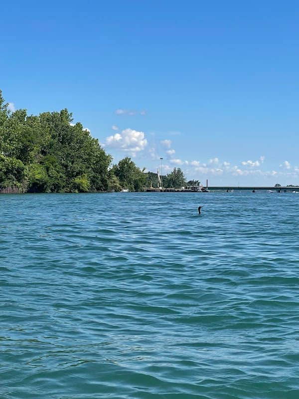 Detroit River International Wildlife Refuge Office - Image 2