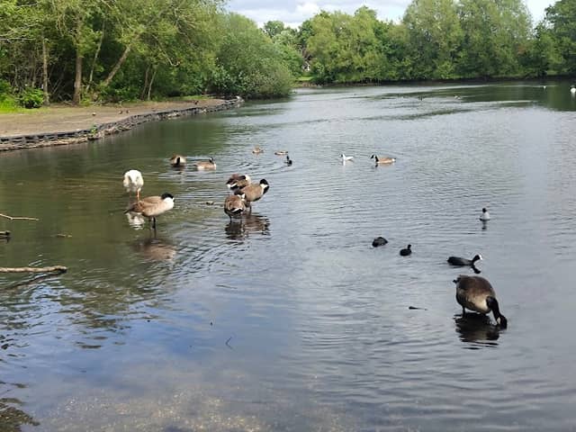 Solihull Nature Reserve - Image 1