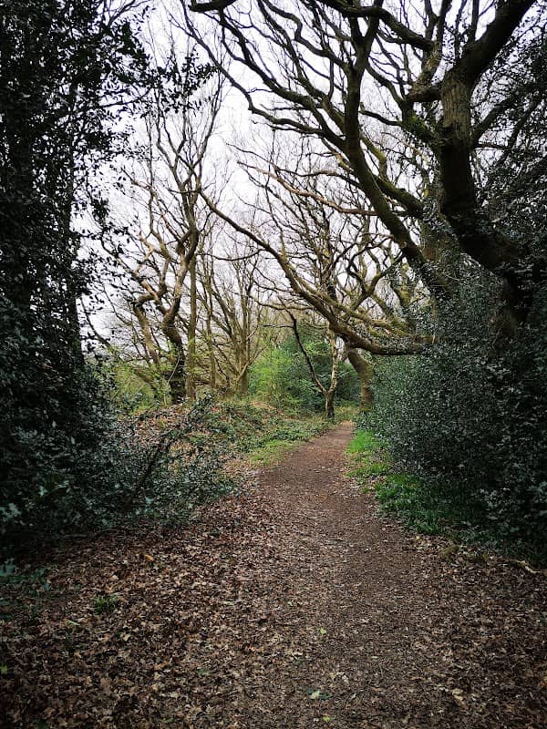 Rough Wood Chase - Image 2