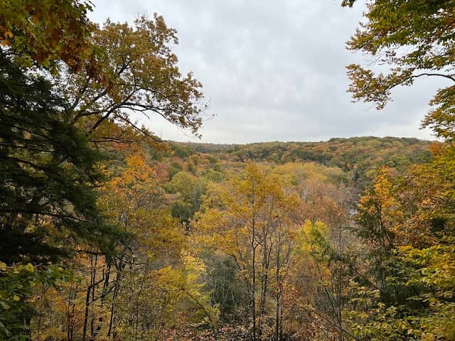 Bedford Reservation - Image 2