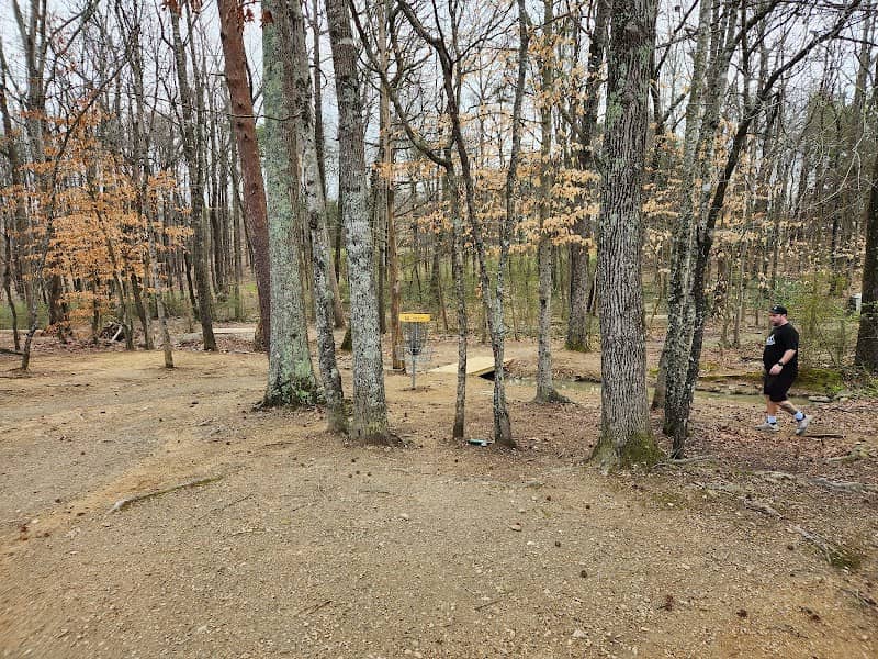 Johnson Street Disc Golf Park - Image 2
