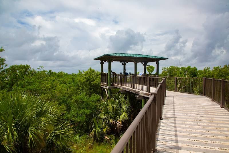 Pelican Island NWR Wildlife Viewing Area - Image 3