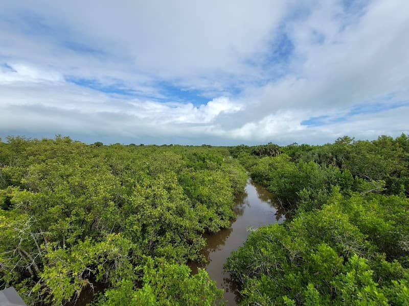 Pelican Island NWR Wildlife Viewing Area - Image 1