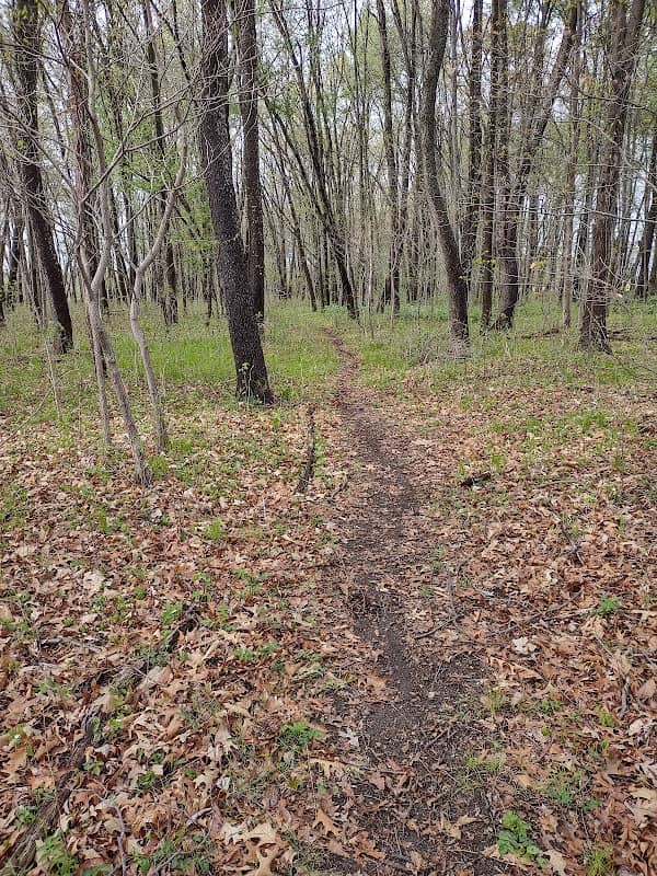 Karl Chen Memorial Nature Sanctuary - Image 1